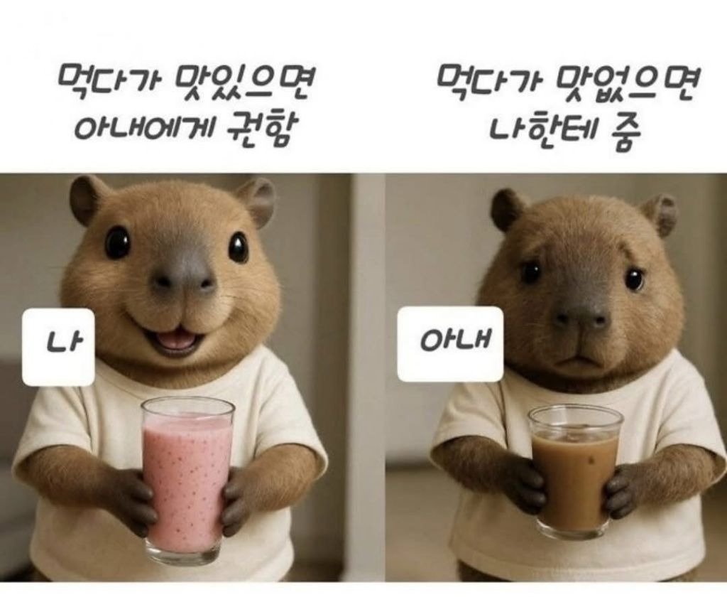 나와 아내의 차이