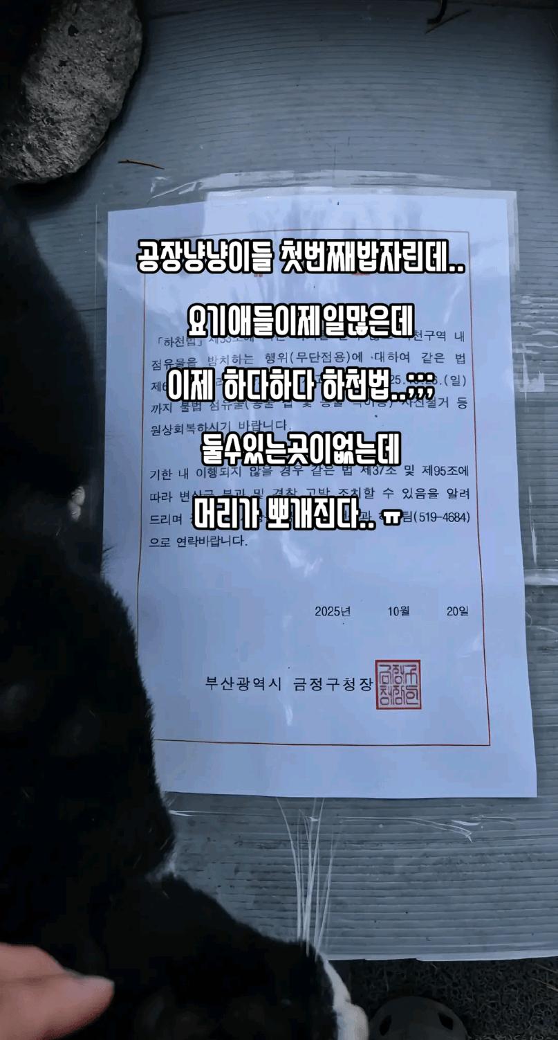 부산 공무원에게 분노한 여성