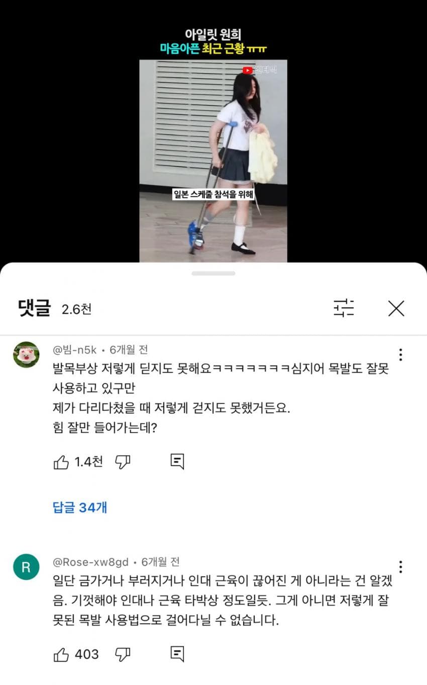 버니즈가 원희한테 가한 패악질
