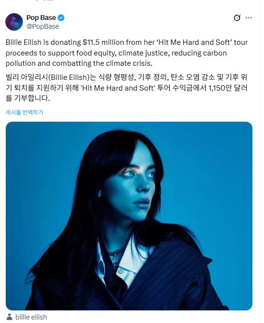 빌리 아일리시 1150만 달러 기부