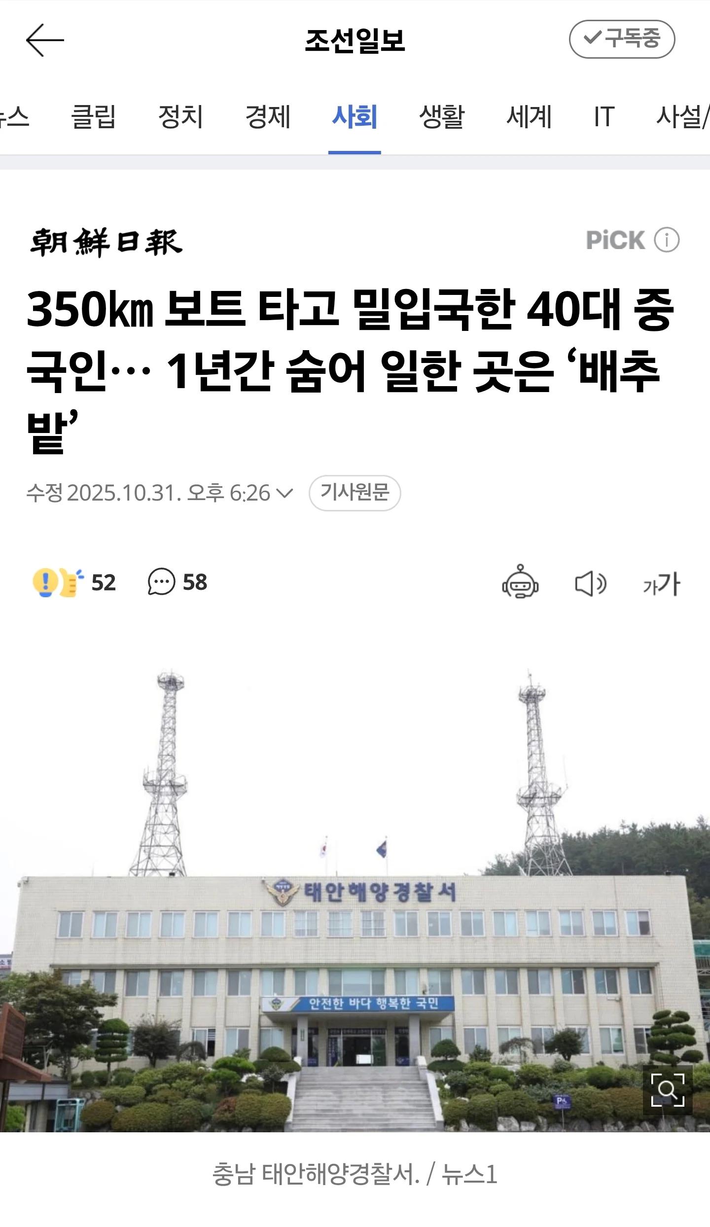 350㎞ 보트 타고 밀입국한 40대 중국인… 1년간 숨어 일한 곳은 ‘배추밭’