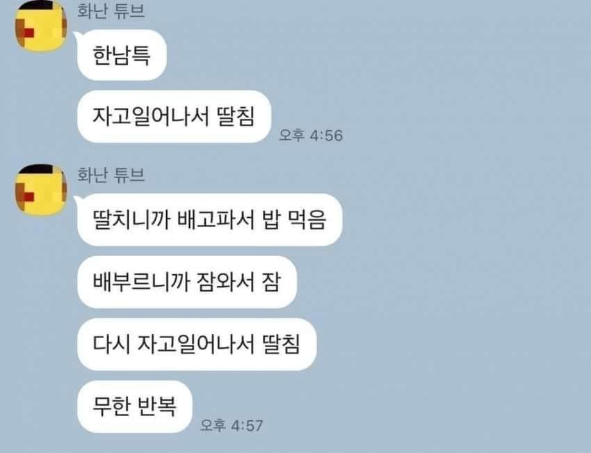 언냐가 말하는 한남특