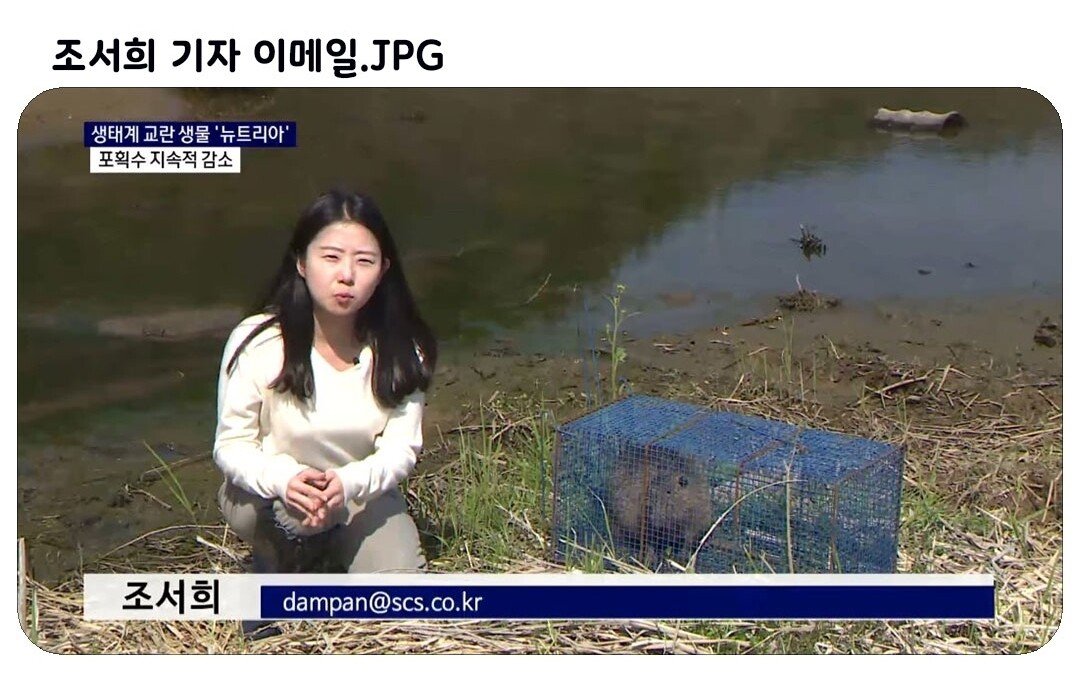 조'서희' 기자 이메일