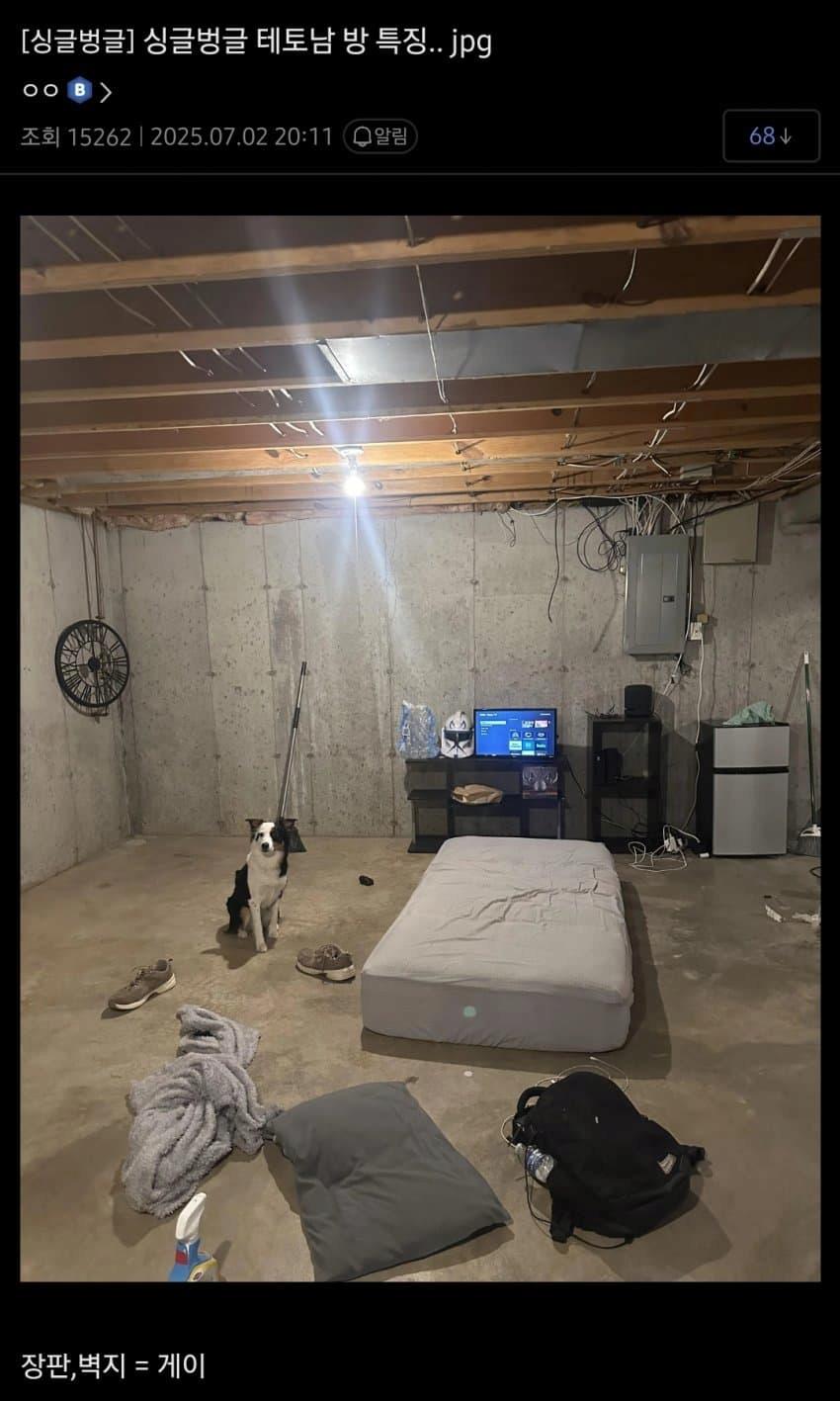 테토남 방 특징 ㄹㅇ...