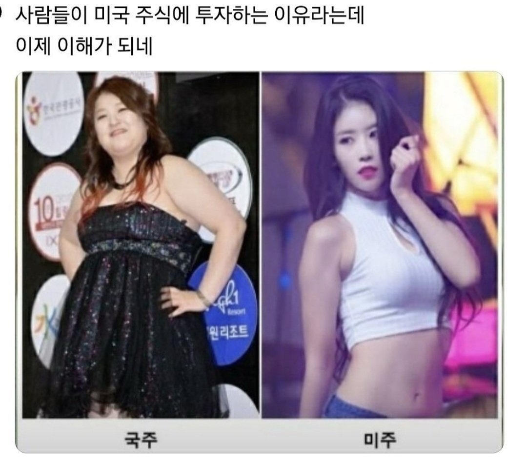 미국 주식에 투자해야하는 이유