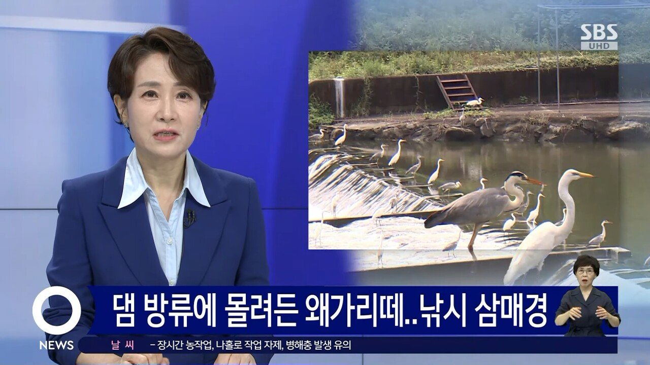 왜가리 타워디펜스