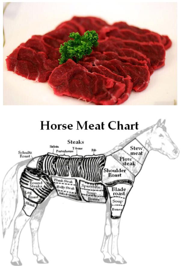 전쟁터에서 나오면 ㅈ됨의 상징이었던 음식 ㅋㅋㅋ