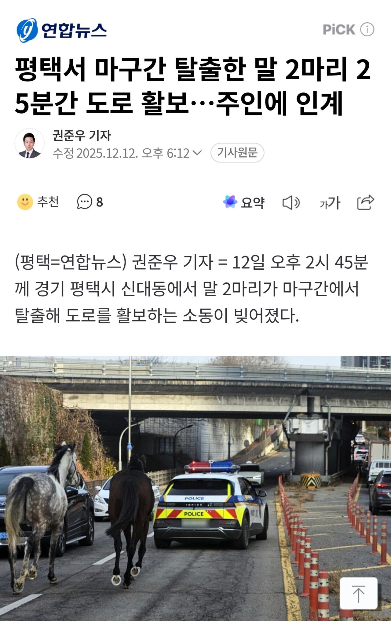 [속보] "말 2마리 마굿간 탈출, 도로 활보" 25분만에 긴급체포