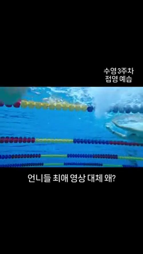 우리 반 언니들의 최애영상