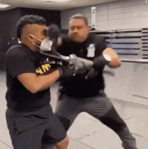 총기 뺏기 이상과 현실