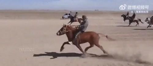 몽골 난쟁이 말이 달리는 방법.gif