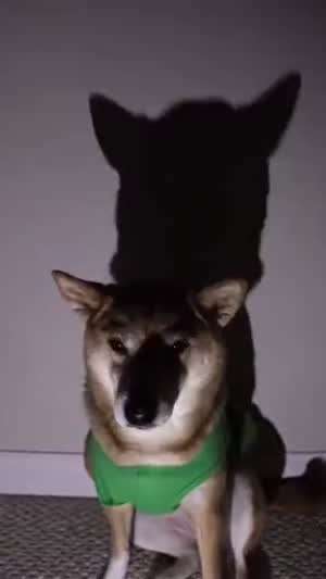 소리] 이것은 춤이 아니여, 내는 가만있잖여?.mp4